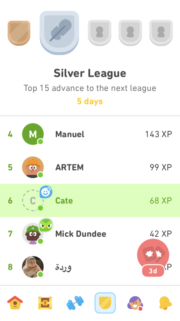Duolingo leagues make learning a group activity.