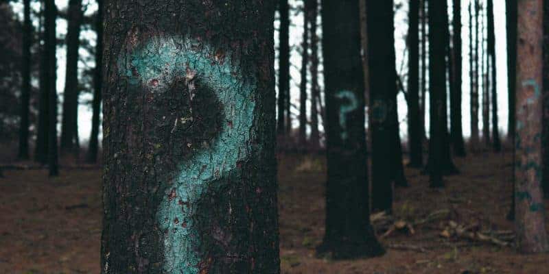 Green Question Marks Painted on Trees